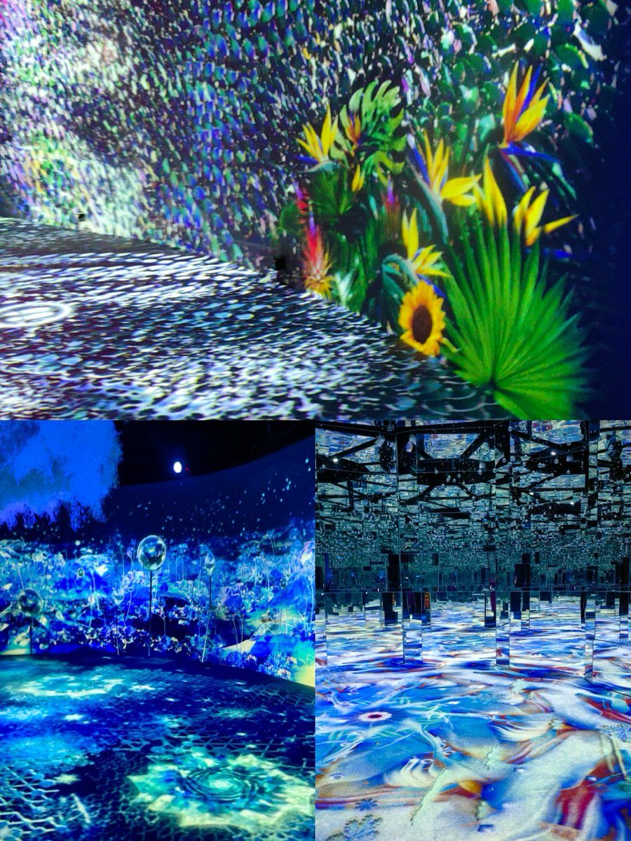 LaqueishaSelena's tweet photo. Loved the immersive light art installation at the city gallery tonight! Every color shift wrapped me in a dreamy vibe—def coming back this weekend. https://t.co/QNrEvWWTmL