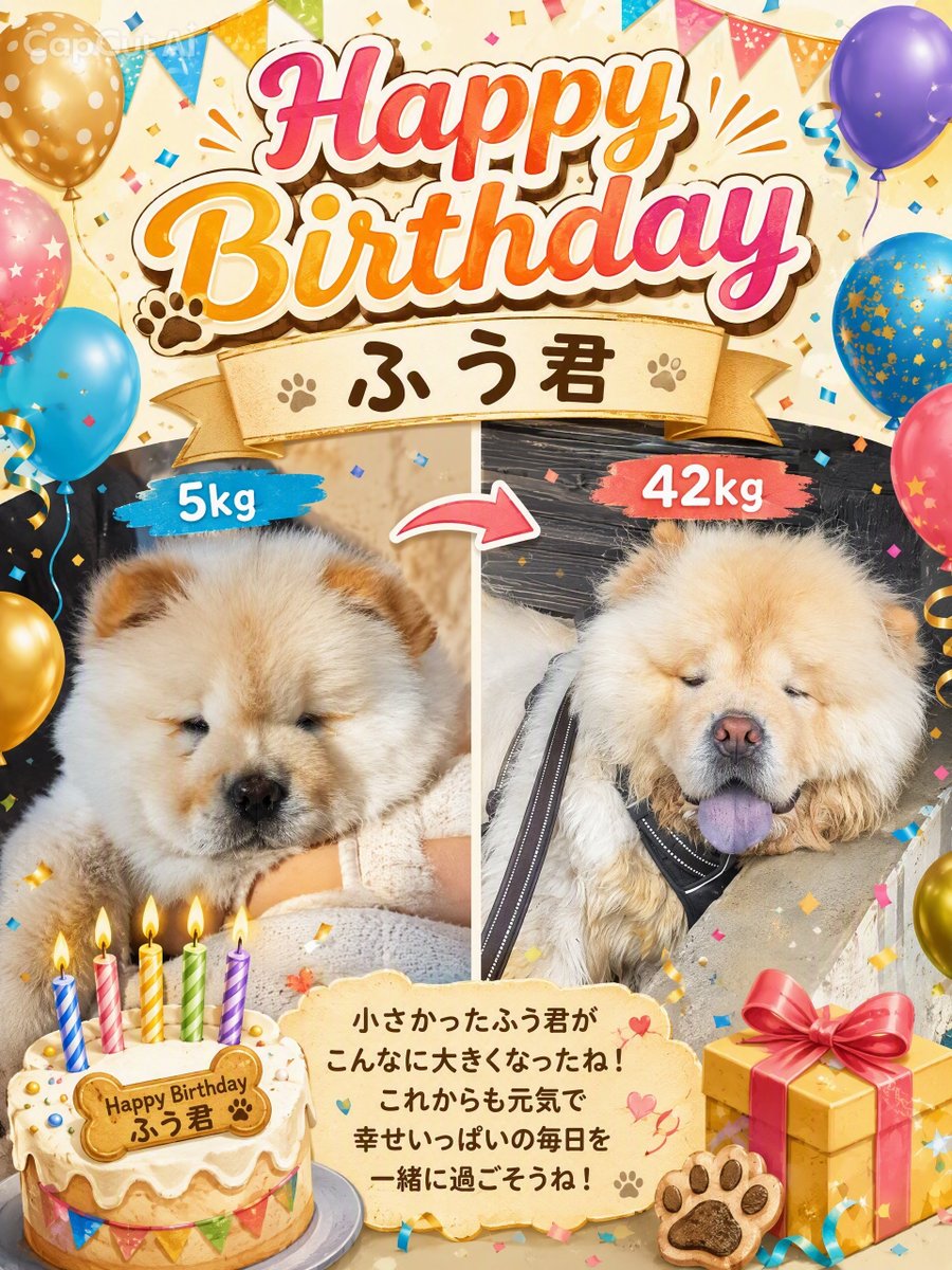 a_mat16277's tweet photo. おめでとう🎊🎉

#チャウチャウ
#犬のいる生活
#ふう君 https://t.co/NzQ31eTH1b