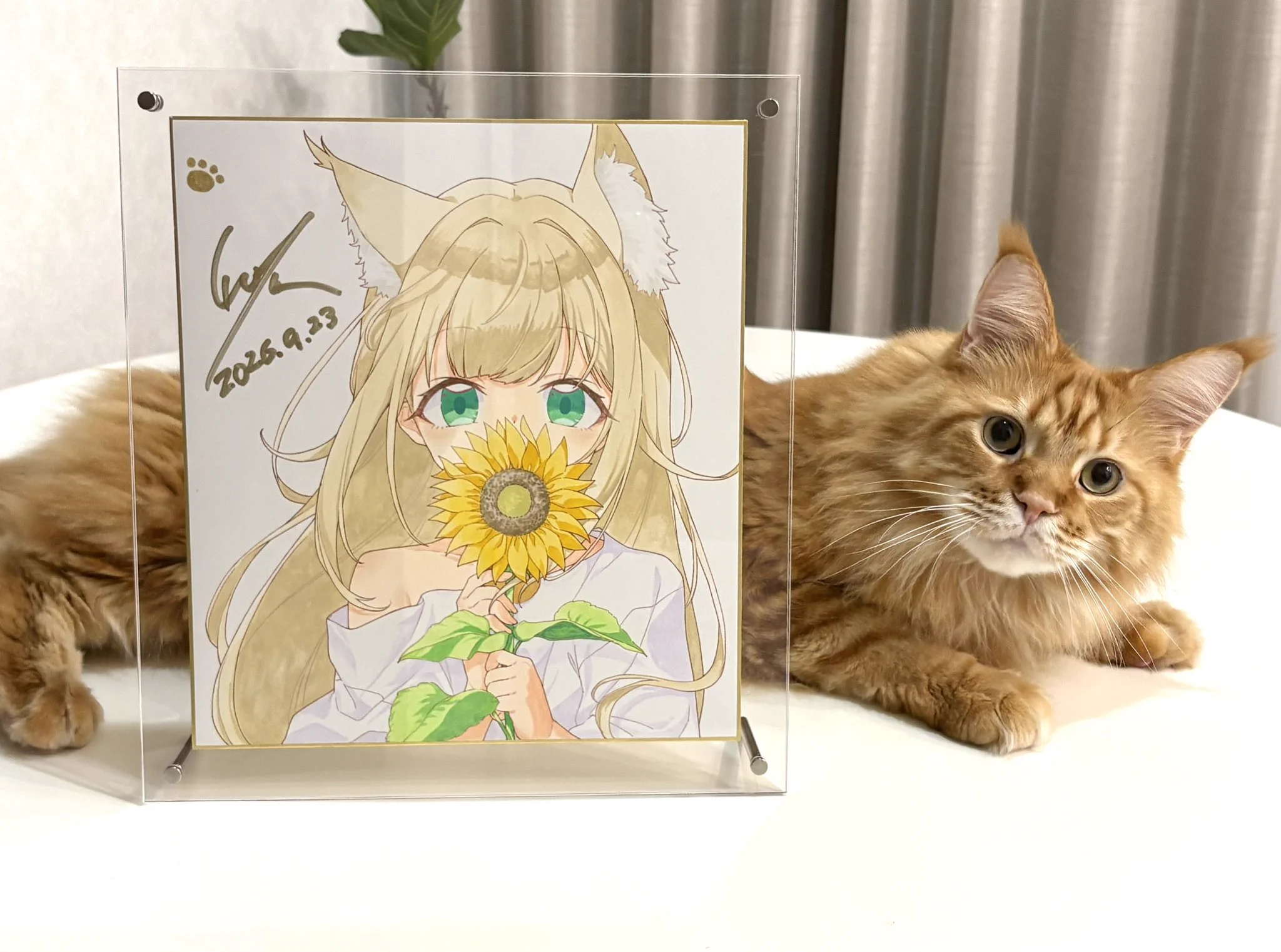 しま原🐈初画集発売🌈 on X: 