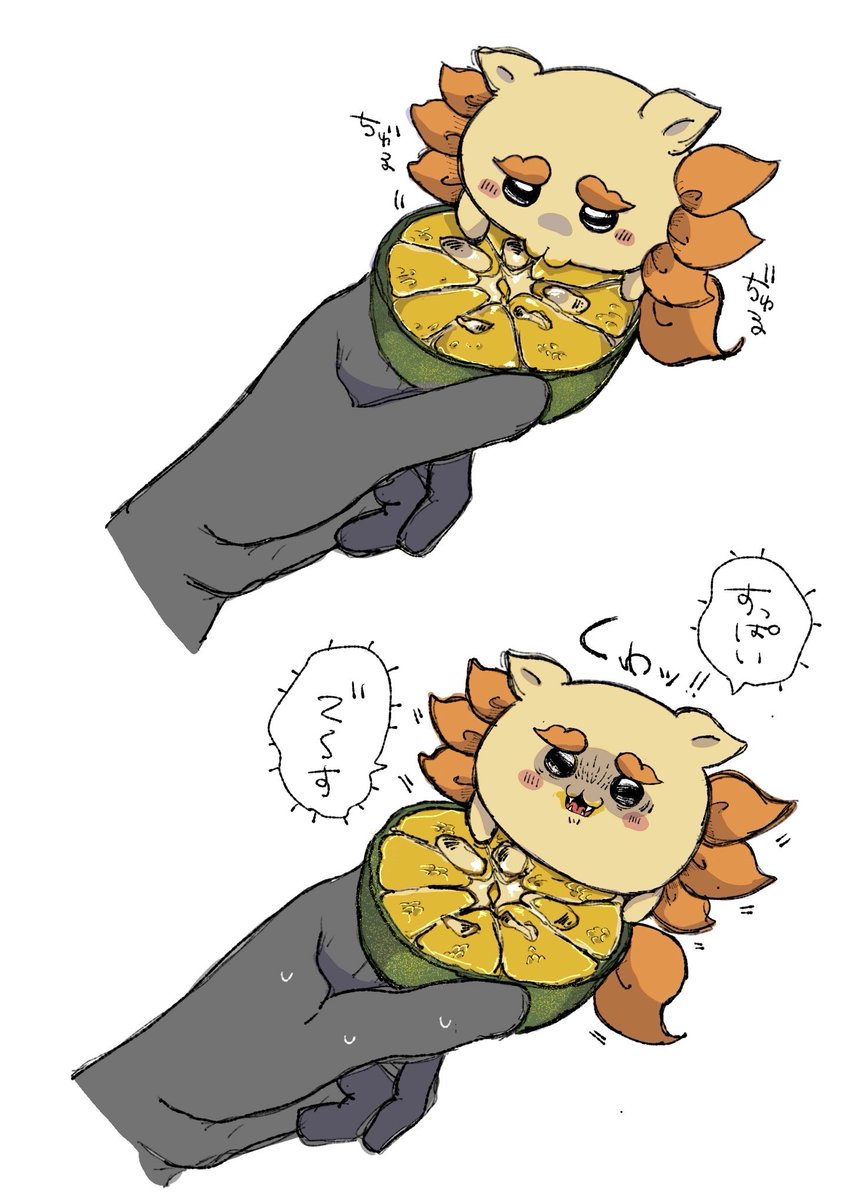 oooo_1ooo's tweet photo. シークワーサー https://t.co/DXwnVbgiOJ