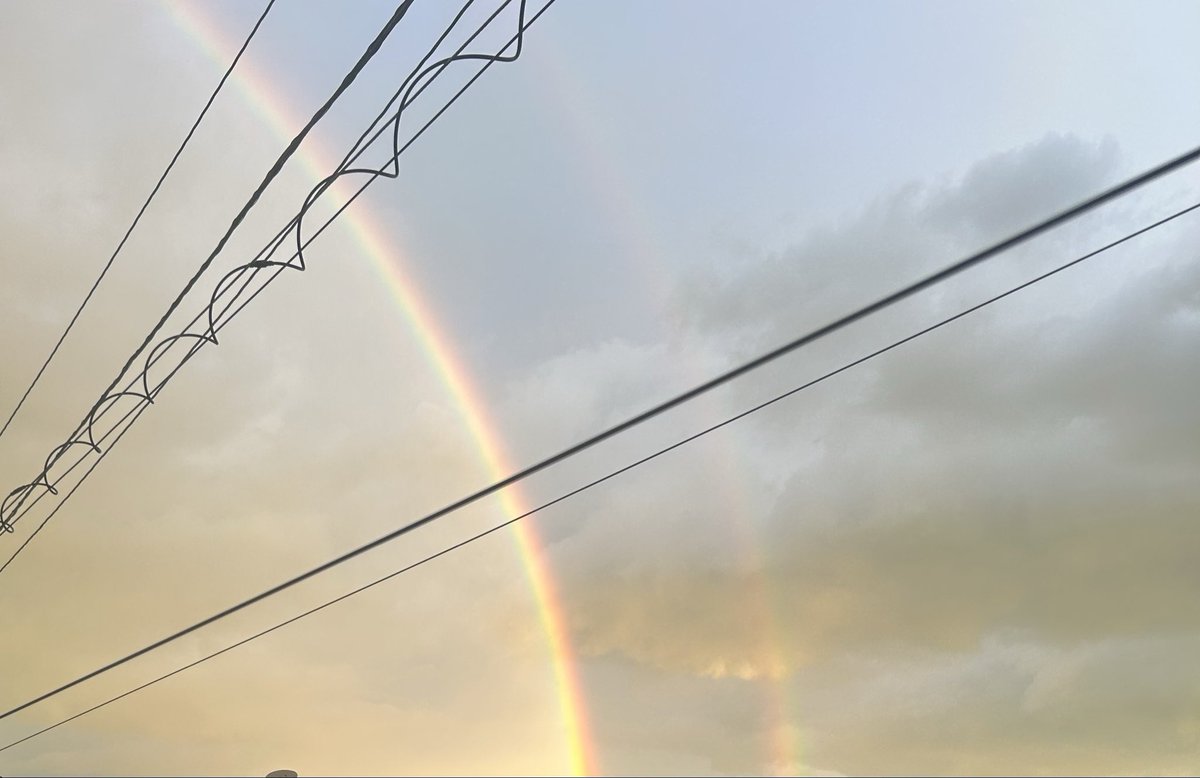 BOC_manato's tweet photo. なないろ🌈 https://t.co/KGzp75l7Qb