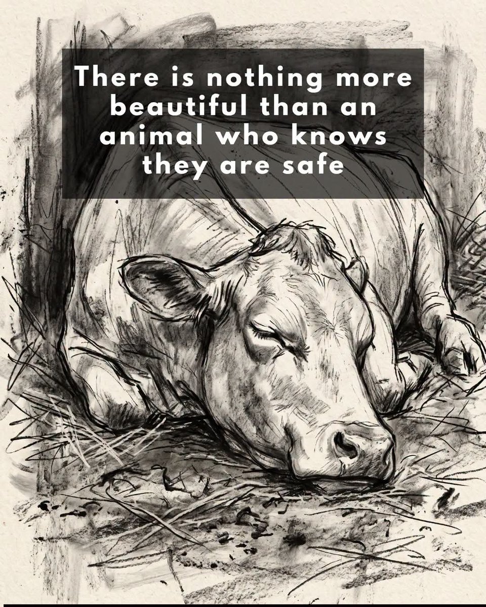 DervillaSmith's tweet photo. No palate justifies robbing a living being of the absolute tranquility of knowing that no one will harm them. ✨🌱

🎨 Emmy for Animals https://t.co/5BNP76WDXy