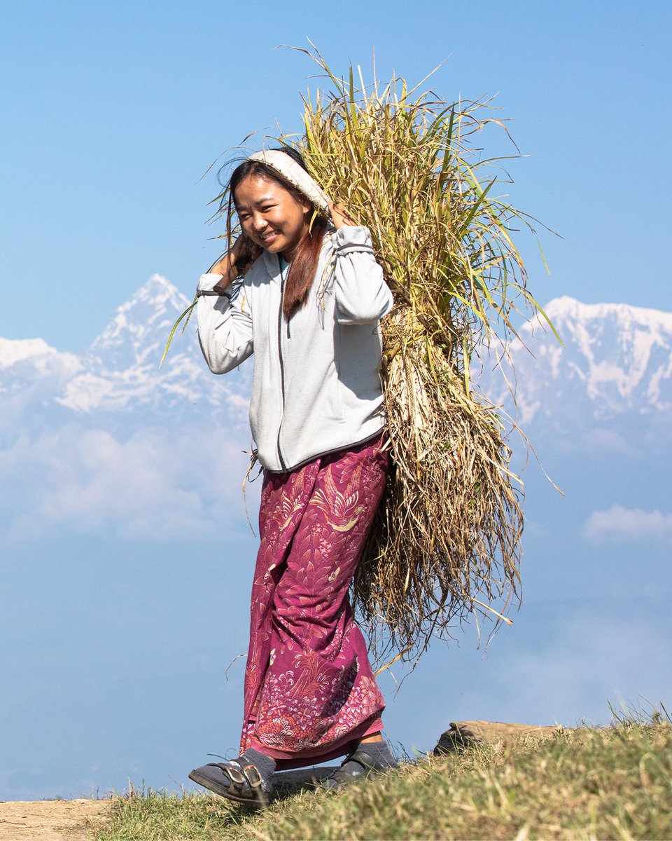 HimalayanT68148's tweet photo. The people behind the honey.

They are more than beekeepers - farmers, gatherers, sons &amp; daughters, custodians of traditions shaped by the Himalayas.

Mârani begins with these people, and a way of life inseparable from its place.

#HimalayanTreasures #MâraniHoney #ChestnutHoney https://t.co/hXbSZkDmTr