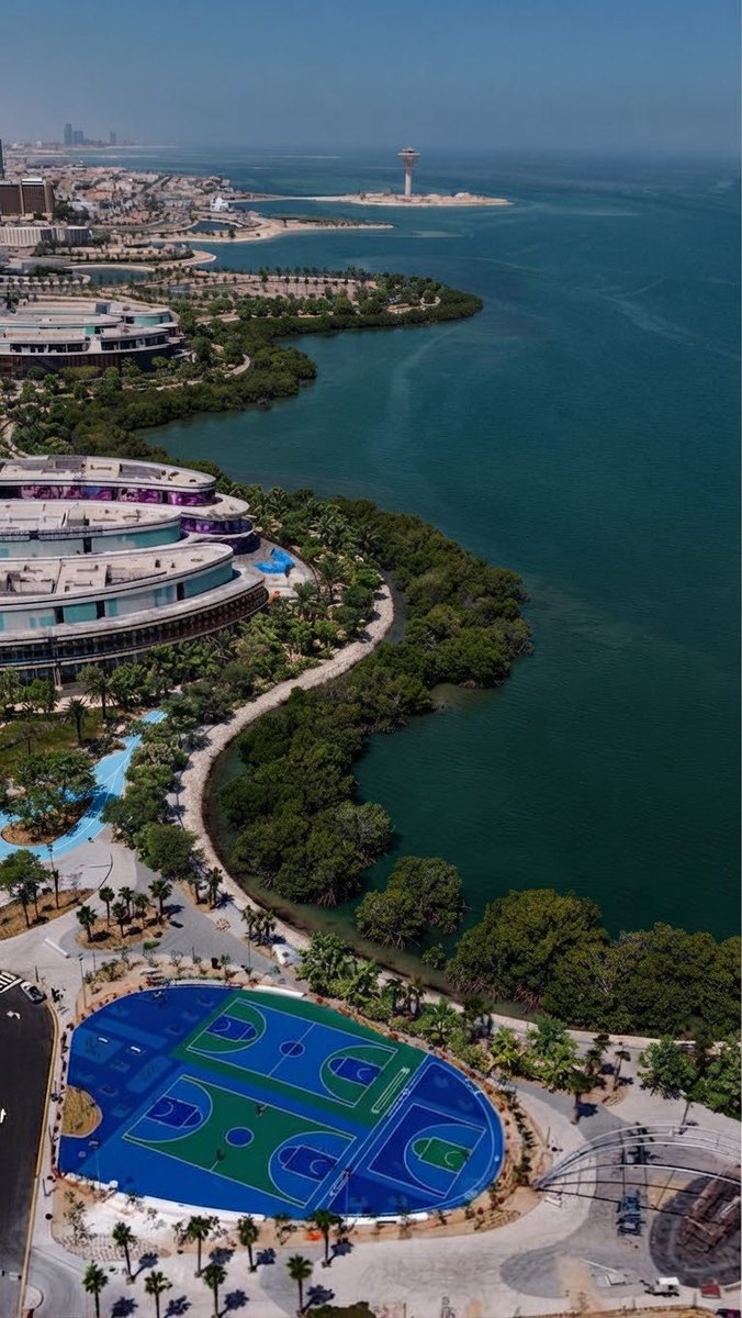 phsaleh700's tweet photo. ماذا لو تم زرع اشجار المناقروف في تراس الخبر .!🏝️ https://t.co/SXIxmdL9a5