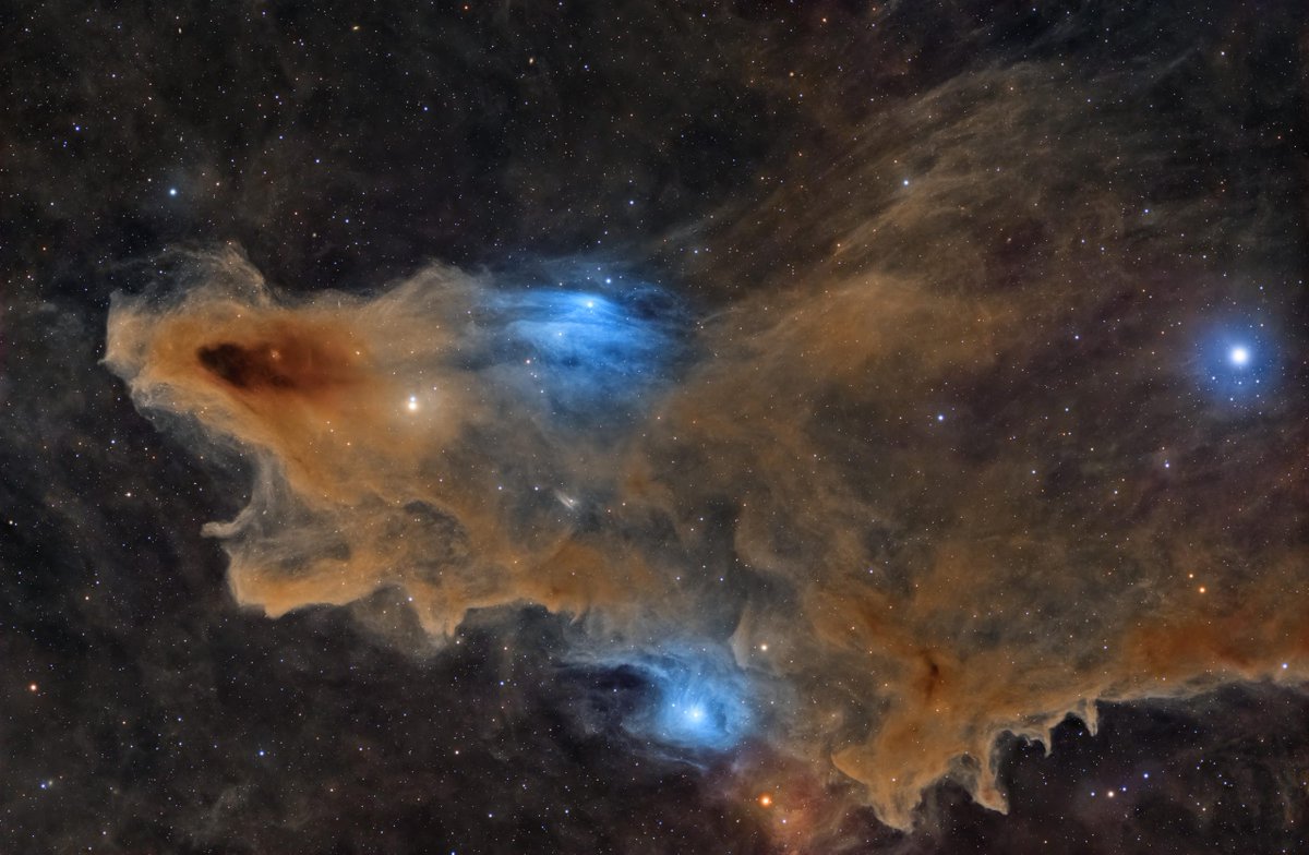 This stunning cosmic predator just won Astronomy’s top prize

Kuwaiti photographer Ali Alobaidly spent two nights in the desert capturing the Shark Nebula. His 