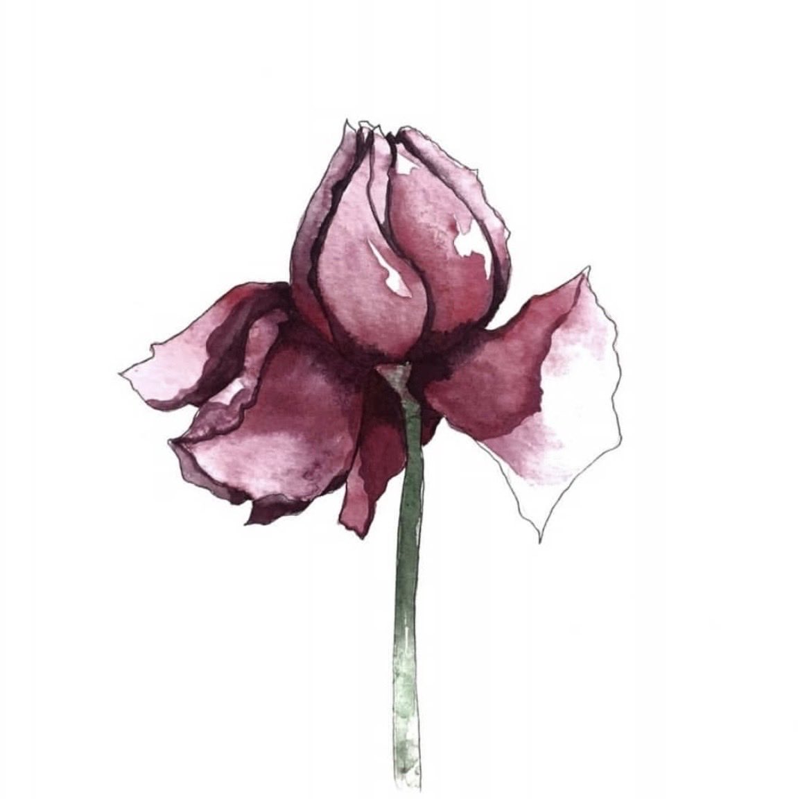 ArtVibeArt's tweet photo. Von der Natur auf das Cover✨
Diese Blume hat eine Geschichte: Erste Blüte →Aquarell →Print auf Shirts &amp; Notizbüchern →Cover für meinen VHS-Kurs.
•Speichere den Beitrag, wenn du Inspiration für deine eigenen Projekte brauchst.
•Tagge eine kreative Seele! 
#art #SoMeRa26 #vhs https://t.co/G3Nk8MO6C6