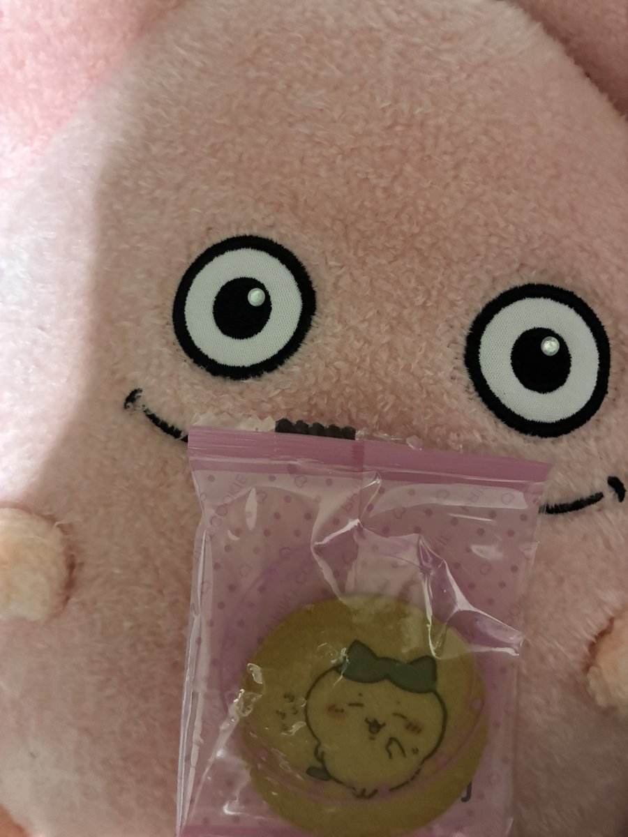 icwsox's tweet photo. 食べさせたちいかわクッキーᐡ ̳ᴗ  ̫ ᴗ ̳ᐡ♡ https://t.co/NyLg52NOAJ