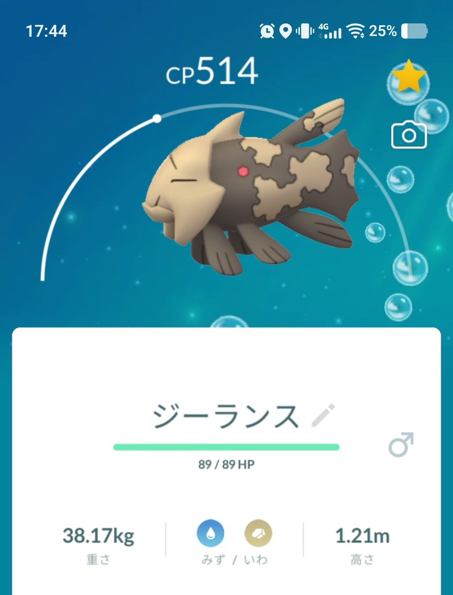 f0ypb's tweet photo. ジーランス交換で頂きました‼️
すごいニュージーランド産 https://t.co/eL7kExM3Ii