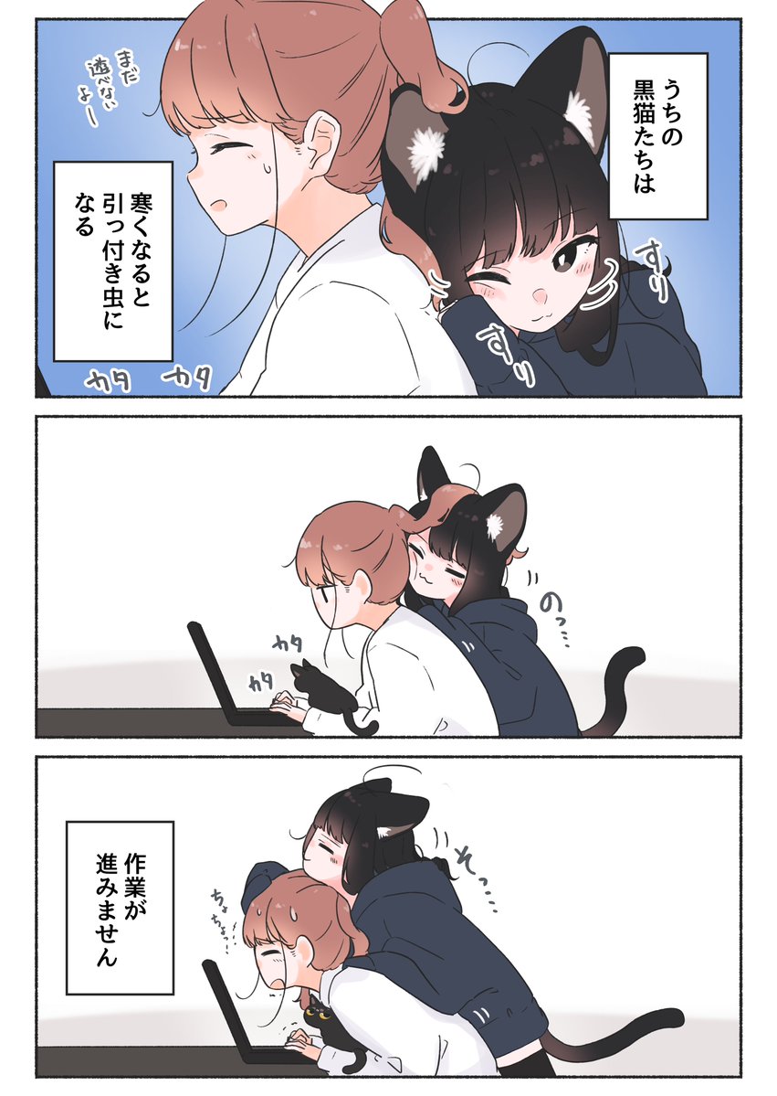 M_terU116's tweet photo. ひっつき猫虫 [再掲] https://t.co/YccwuMvo4W