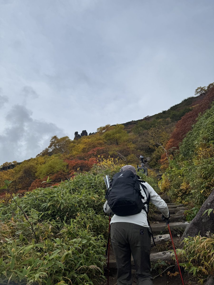 TALOWp1's tweet photo. 初山
#大雪山　#黒岳 https://t.co/paypnh9D06