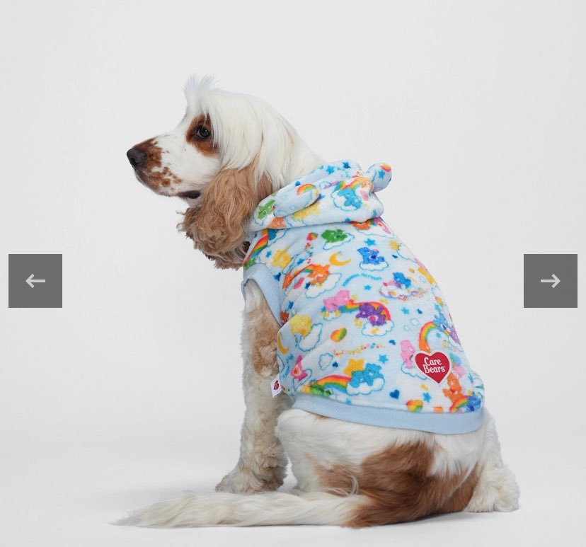 PrettiPupi's tweet photo. just bought these matching pyjamas for me &amp; my dog, so hoping it fits him when they come 🤞 https://t.co/FsEQrVZ5VD