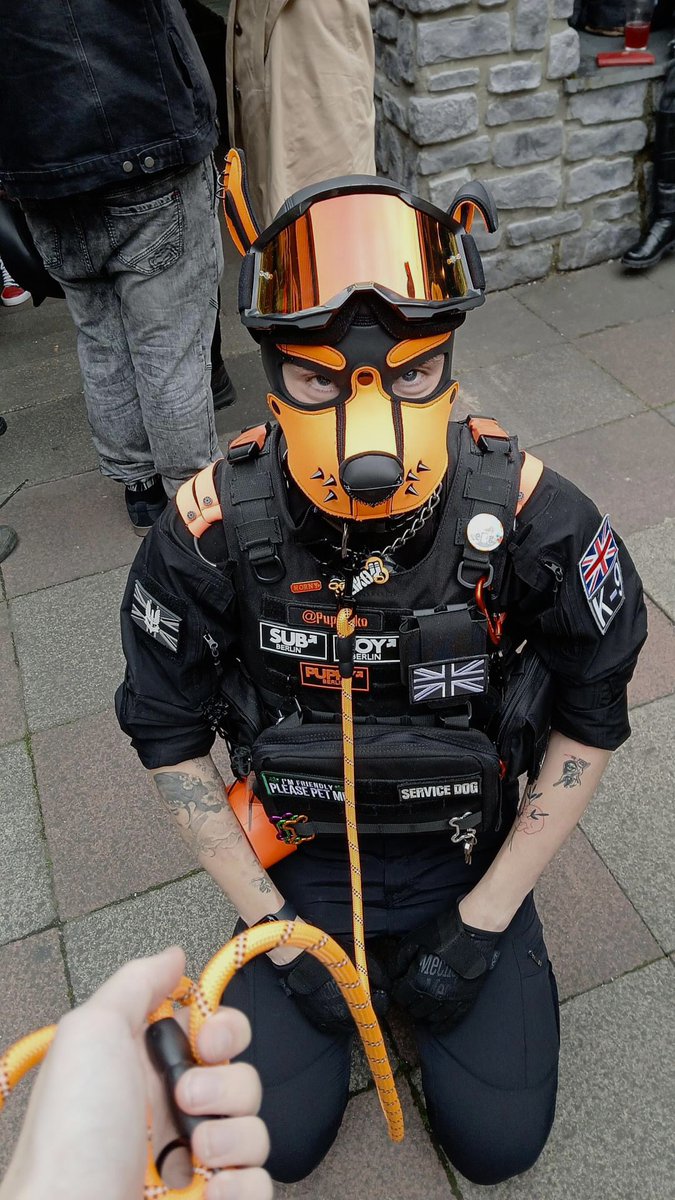 pup_ziko's tweet photo. was being a good dog at my first event 😌 https://t.co/I6RVkBZ7X8