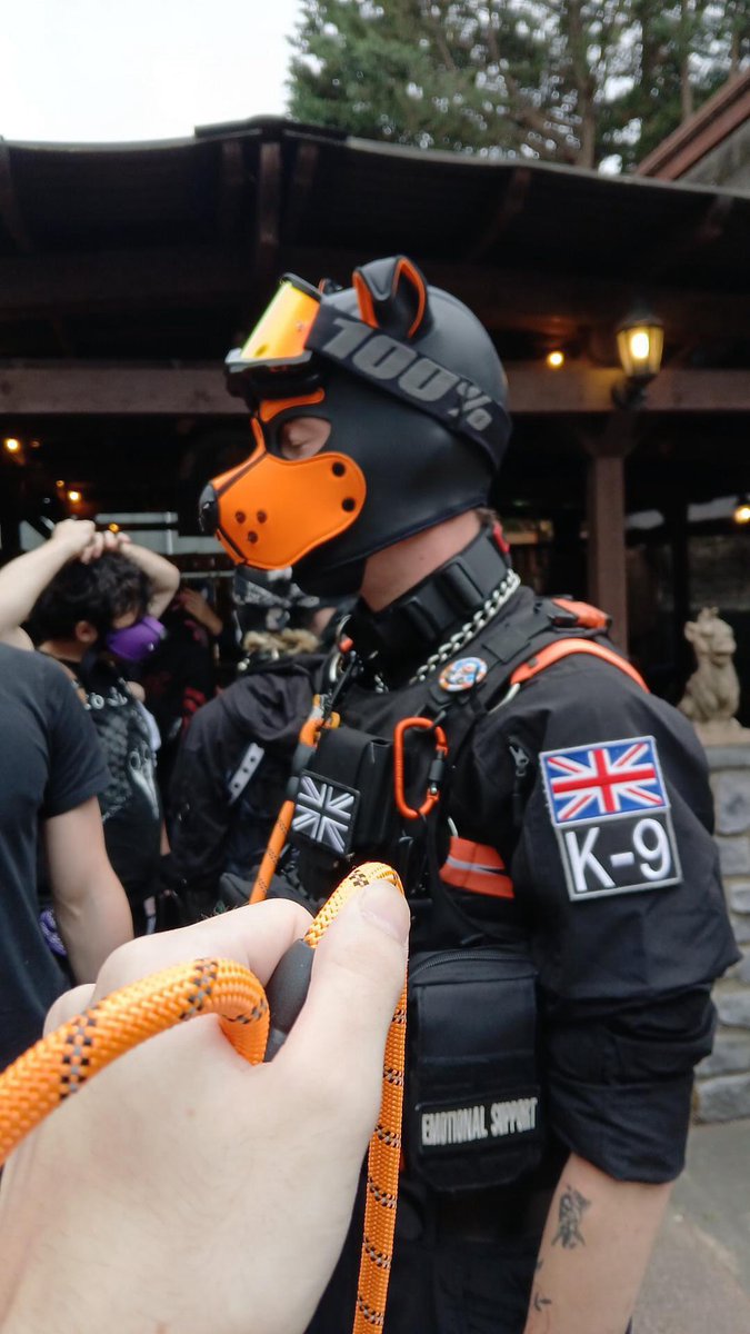 pup_ziko's tweet photo. was being a good dog at my first event 😌 https://t.co/I6RVkBZ7X8