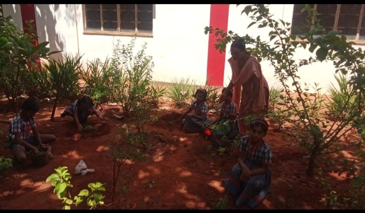 KVNagercoil's tweet photo. For Ayurveda Day celebrations on September 23,2026,PM SHRI Kendriya Vidyalaya Nagercoil has organized a plantation drive where the students planted various medicinal and herbal plants, aiming to create awareness for the theme "Ayurveda for a Healthier Tomorrow" https://t.co/eqjLUssKID