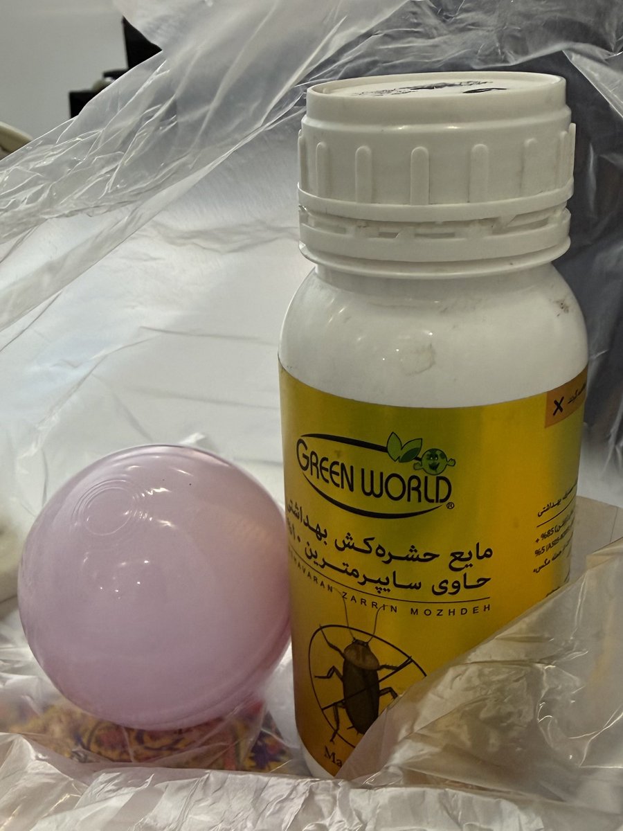 elaveranoir's tweet photo. از پت شاپ سم سفارش داده بودم برام کنارش توپ پتم گذاشته!
الان یعنی من باید با سوسکا توپ بازی کنم؟😂😂 https://t.co/QsV2KgoM8D