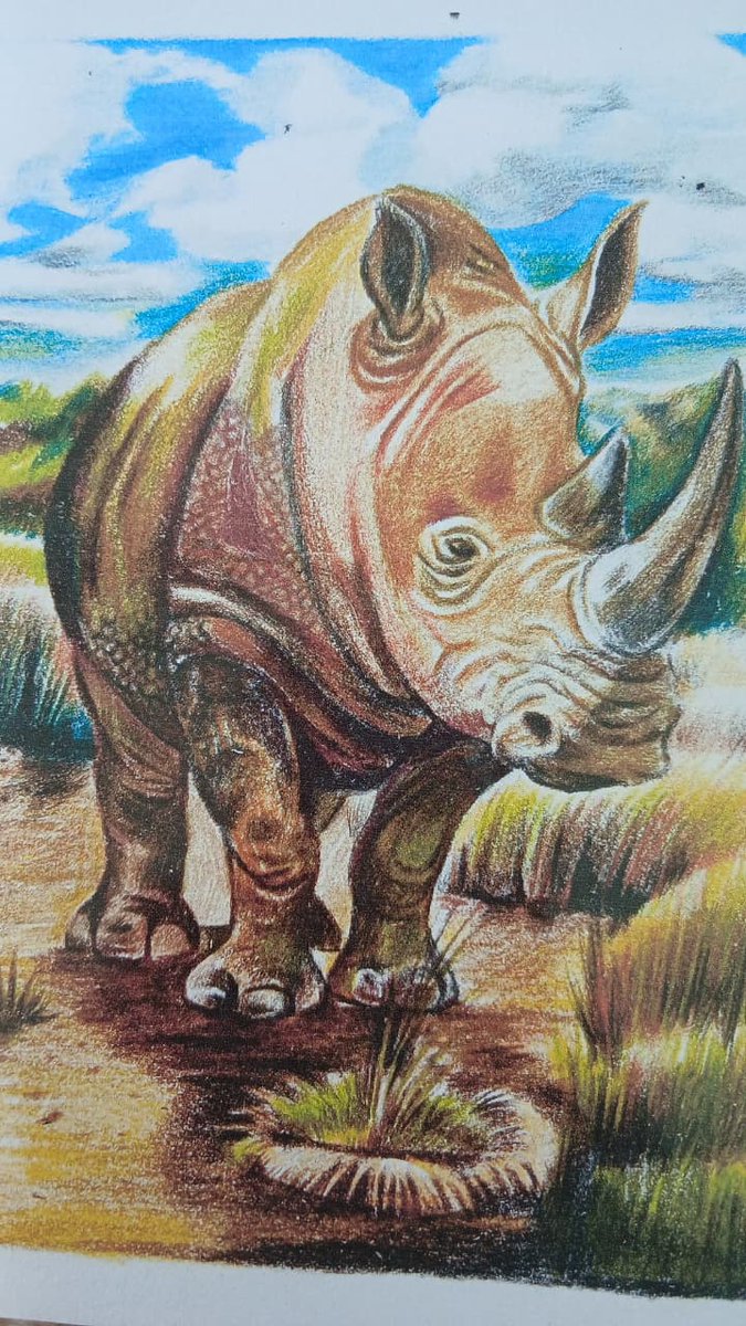 wildlifedirect's tweet photo. This is what happens when curiosity meets the field.

Daniel, an art intern at the WildlifeDirect Field Lab, had his first-ever rhino sighting. He couldn't get close enough for a clear look, so he went back and drew what his eyes couldn't quite capture, but his memory wouldn't let go of.

This is the kind of experience we build into every field placement: real encounters with wildlife, translated into real skill and real stories. Art, science, conservation- all learned in the field, not just the classroom.

Want an experience like Daniel's?

Visit and learn more about the WildlifeDirect field lab: https://t.co/uVOqBgAITL

#WildlifeDirect #FieldLab #Nature #Children #ConservationEducation #WorldRhinoDay #Rhinos #Drawing #NairobiKenya @ConservNtn @KWSNairobiPark @KWSKenya