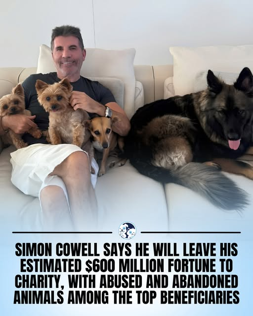 tiger26931's tweet photo. Dogs are particularly important to Cowell, and his will has reportedly included organizations such as Battersea, Dogs Trust and K9 Friends in Barbados.
He has also donated £25,000 toward efforts to shut down a South Korean dog meat farm and rescue more than 200 dogs.
Credit: CNBC https://t.co/hL1rYuyBwg