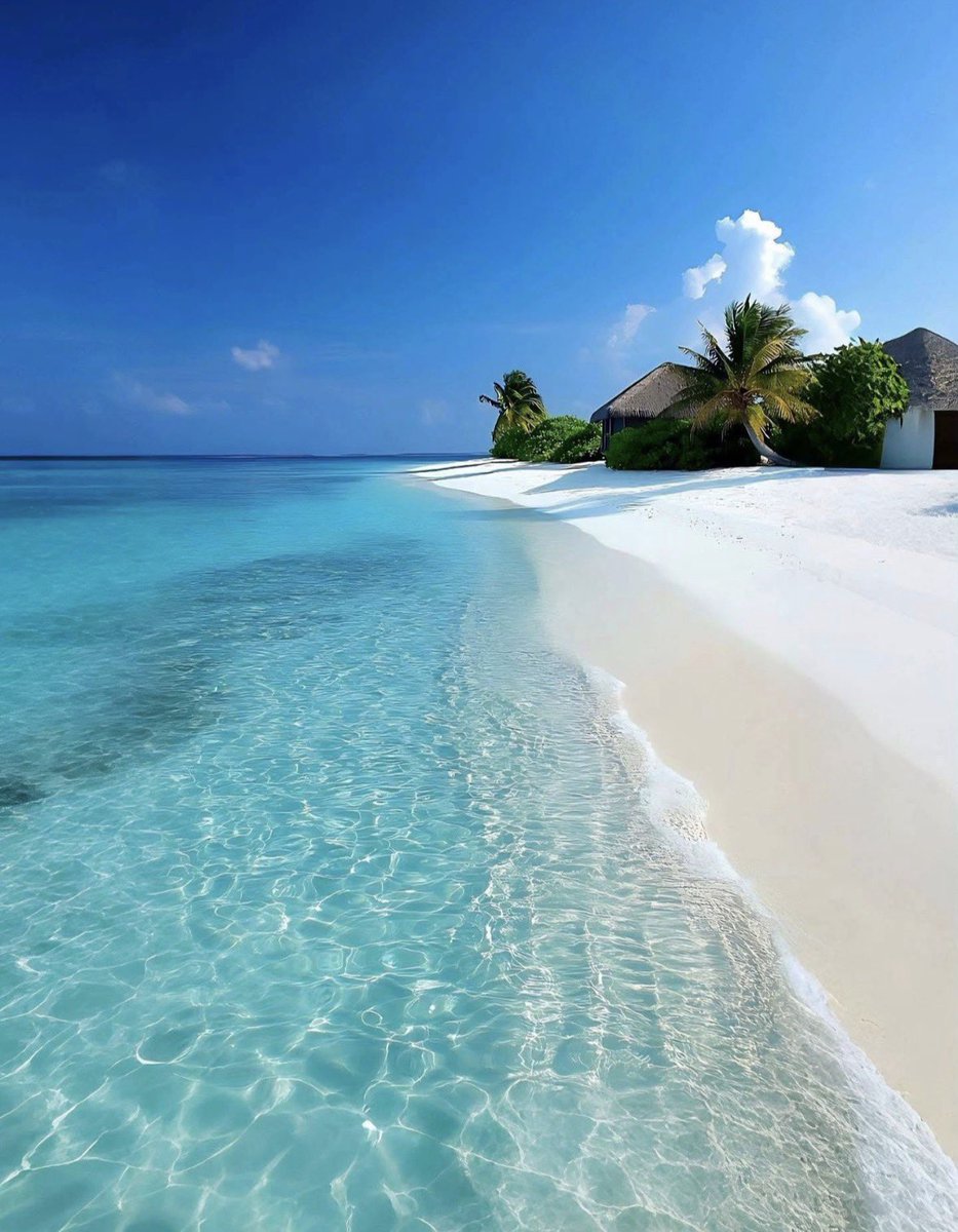 travelgirl_love's tweet photo. 【予算18〜35万円】（3泊4日）

🇲🇻モルディブ

「人生で一番きれいな海だった。」って言えるほど世界一綺麗な海🥺✨

どこまでも続くエメラルドブルーの海で、
シュノーケリングやサンセットを楽しむ時間はまさに非日常…。 https://t.co/khObzUdcAK