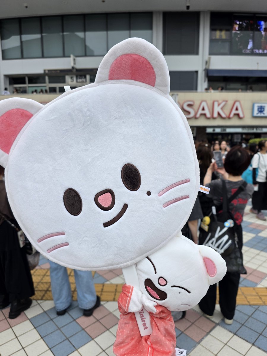 aaachan_218's tweet photo. 京セラ2日間ほんっと楽しかった✊🏻❤️‍🔥
そして私は電車が止まって帰れなくなり満喫生活😇😇😇 https://t.co/FsfEWWsWrH