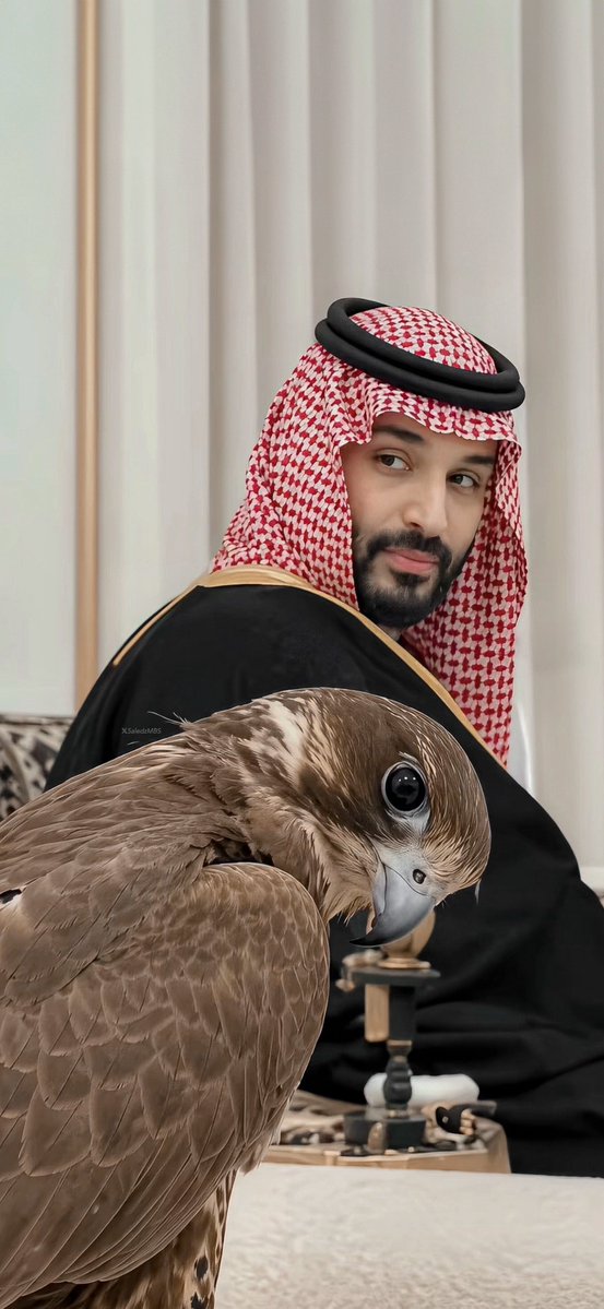 5aledzMBS's tweet photo. يا محمد بن سلمان يالحُر النزيه 🇸🇦 https://t.co/Iskqhb4lI0