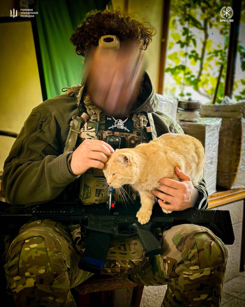 BenedictLynx's tweet photo. Ukrainian Special Forces Operator of the Bratstvo Battalion with a cat. https://t.co/DTDhnQUy5J