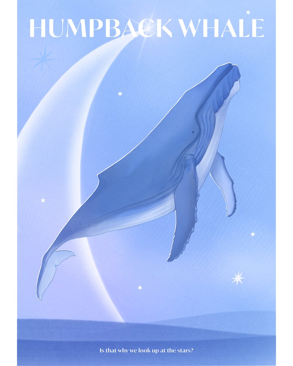 _dearwhale's tweet photo. ✶ 혹등고래 포스터
ㅡ HUMPBACK WHALE

✶ 이제 난 깨달았다. 사람들에게는 자신이 그저 스스로에 대한 염려 때문에 살아 있는 것처럼 보이겠지만 그들이 살아 있는 것은 오직 사랑 때문이다. / 사람은 무엇으로 사는가 -톨스토이

돌고래 포스터에 이어 혹등고래도 심플한 무드로 작업했어요 🐋✨️ https://t.co/Omipo41QWJ