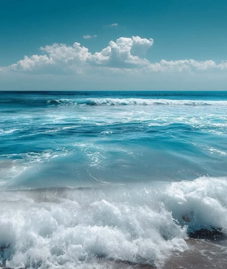 s_msonia's tweet photo. "El corazón del hombre es muy parecido al mar. Tiene sus tormentas, sus mareas, y en sus profundidades también tiene sus perlas."

Vincent Van Gogh ✍️
#FelizLunes 
#BuenosDíasATodos https://t.co/wTdeEjG4h1