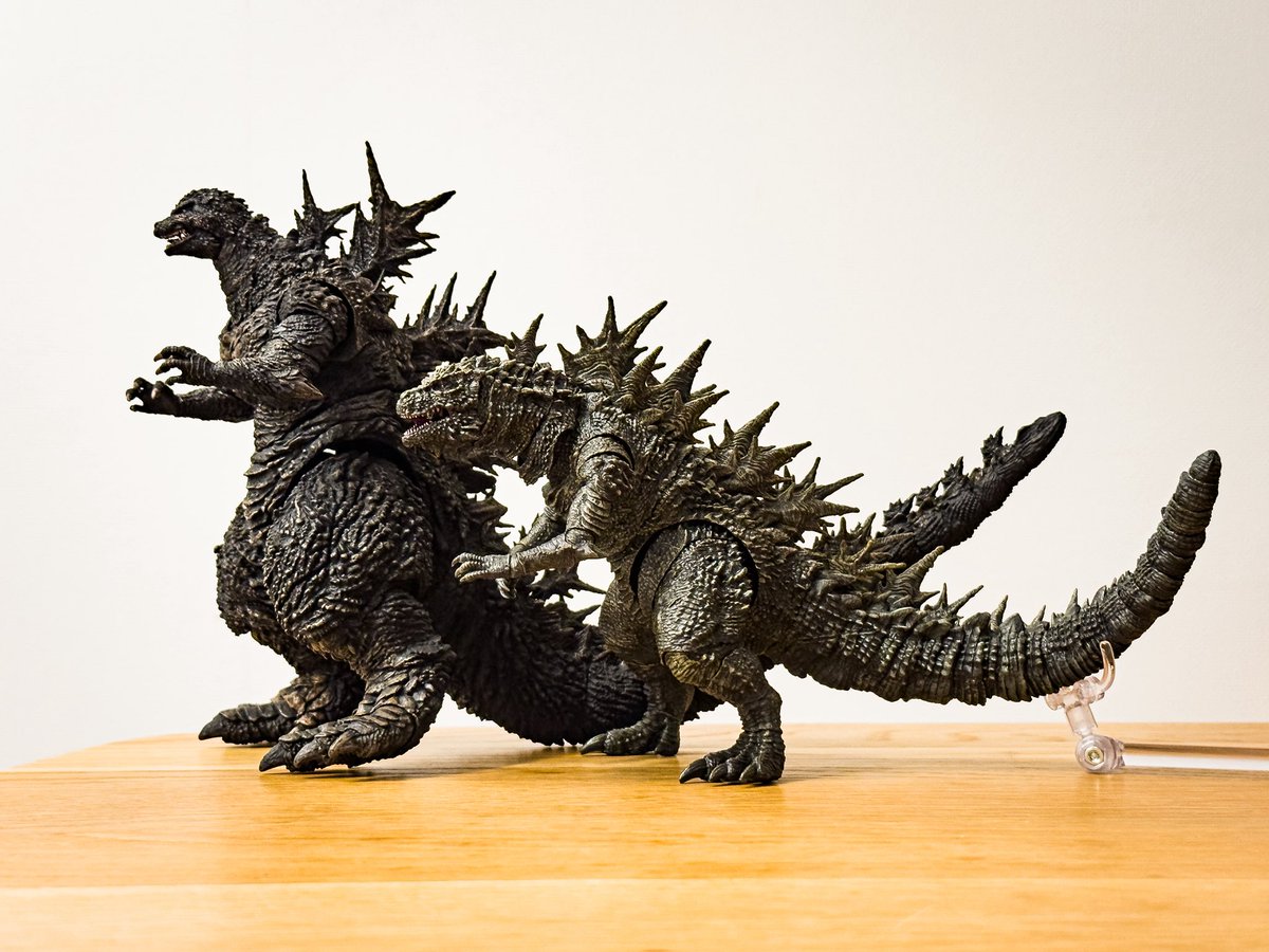 mobebeseijin's tweet photo. S.H.MonsterArts 呉爾羅 開封！③
マイゴジとの比較！
進化の感じが分かる2体。背びれがちゃんとそびえているので、ゴジラザウルスと比較すると、恐竜よりゴジラにより近いフォームです。
顔はマイゴジになってさらにイケメンになりましたw
#ゴジラ　#godzilla #SHMA #モンアツ https://t.co/62CB2G2Prg