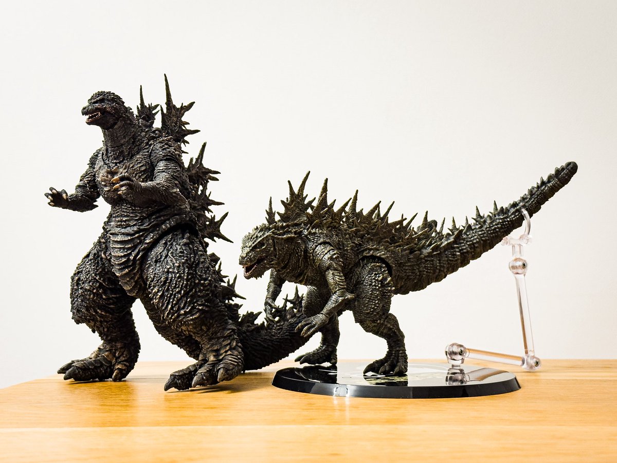 mobebeseijin's tweet photo. S.H.MonsterArts 呉爾羅 開封！③
マイゴジとの比較！
進化の感じが分かる2体。背びれがちゃんとそびえているので、ゴジラザウルスと比較すると、恐竜よりゴジラにより近いフォームです。
顔はマイゴジになってさらにイケメンになりましたw
#ゴジラ　#godzilla #SHMA #モンアツ https://t.co/62CB2G2Prg