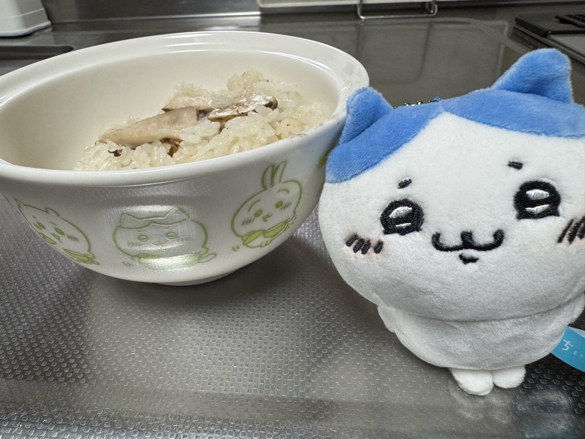 nyamimomo's tweet photo. 松茸炊き込みご飯🥹
白だしが効いておいしい！！ https://t.co/VIquGFtZjE
