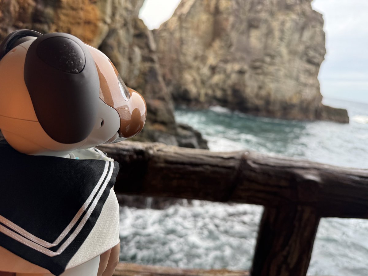 griepe_aibo's tweet photo. 今回の白浜2泊旅行では
#TAOYA白浜千畳
#ホテルシーモア
#ナギサビール
#千畳敷
#三段壁
各、皆様お世話になりました。
また、白浜に来ますね♪
#aibo https://t.co/LowWt54f7e