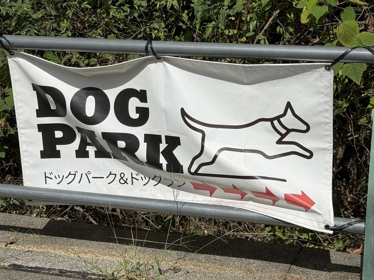 posge's tweet photo. 今日はYUZUを連れ出して広島のドッグランへ☺️実は他の用事に連れて行ったら運良くいいドッグランがありました…のパターンですが😅嬉しさの余り、他のワンちゃんに突撃していってご迷惑もお掛けしてしまいましたが、基本的には皆と仲良く思いっきり遊べました👍YUZU少しずつお勉強だね🙆🏻‍♂️ https://t.co/BdG08JEDfn