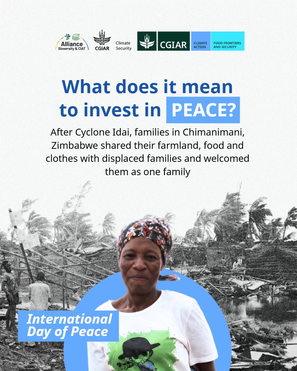 CGIARclimate's tweet photo. Investing in peace means investing in what held Chimanimani together after Cyclone Idai.

Leaders allocating resources, host families sharing what they had and displaced families sharing food from their first harvest in return. 
@CGIAR #ClimateSecurity #Investinpeace https://t.co/sLFiO7C1Ym