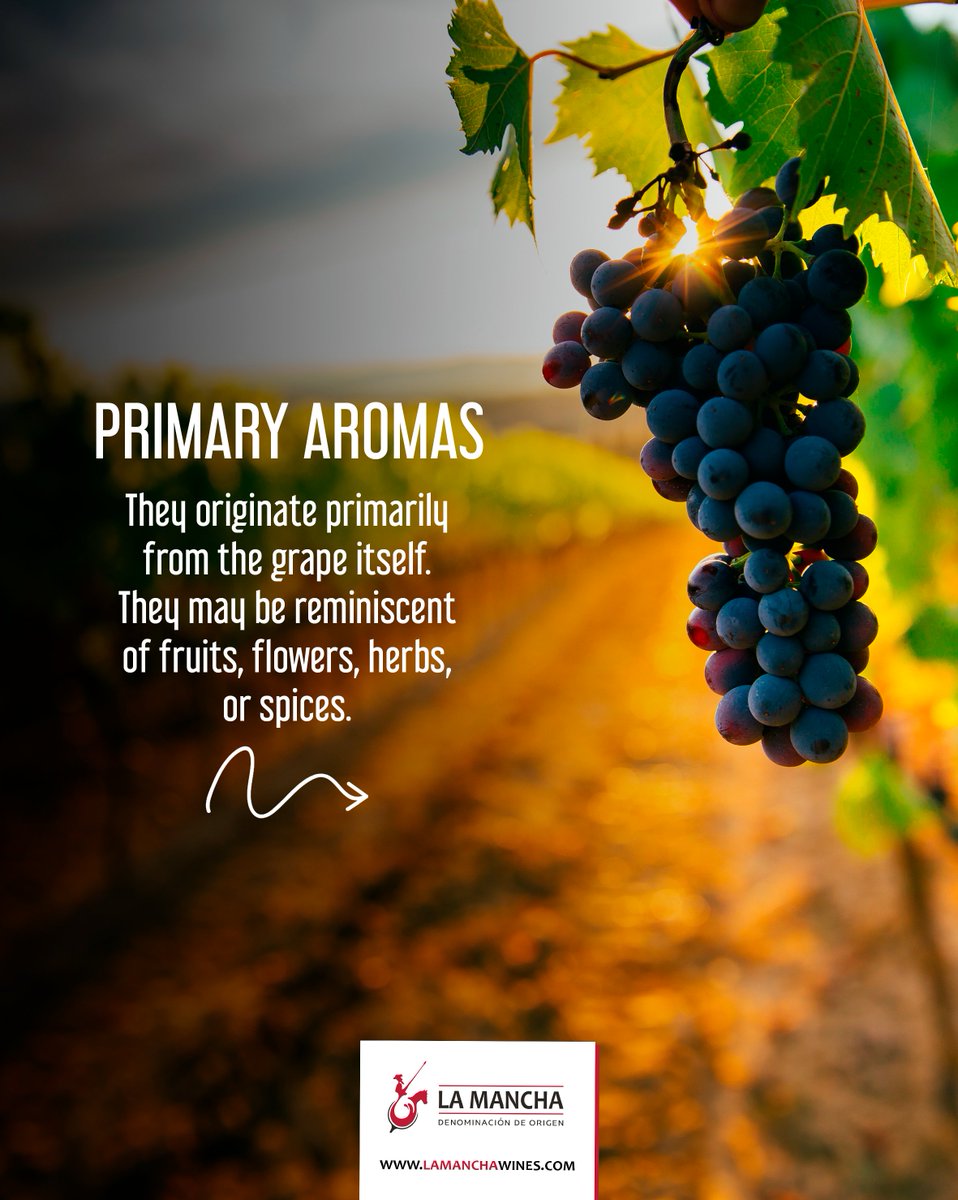 LaMancha_Wines's tweet photo. Why can a wine remind us of fruits, flowers, spices, or even vanilla?🍷
#DOLaMancha #Wine #LaMancha #Wines #Spain #WinesFromSpain
Drink responsibly. Alcohol abuse is dangerous to your health.
Content exclusively for people of legal age. Do not share with anyone under age. https://t.co/9m1psd09CF