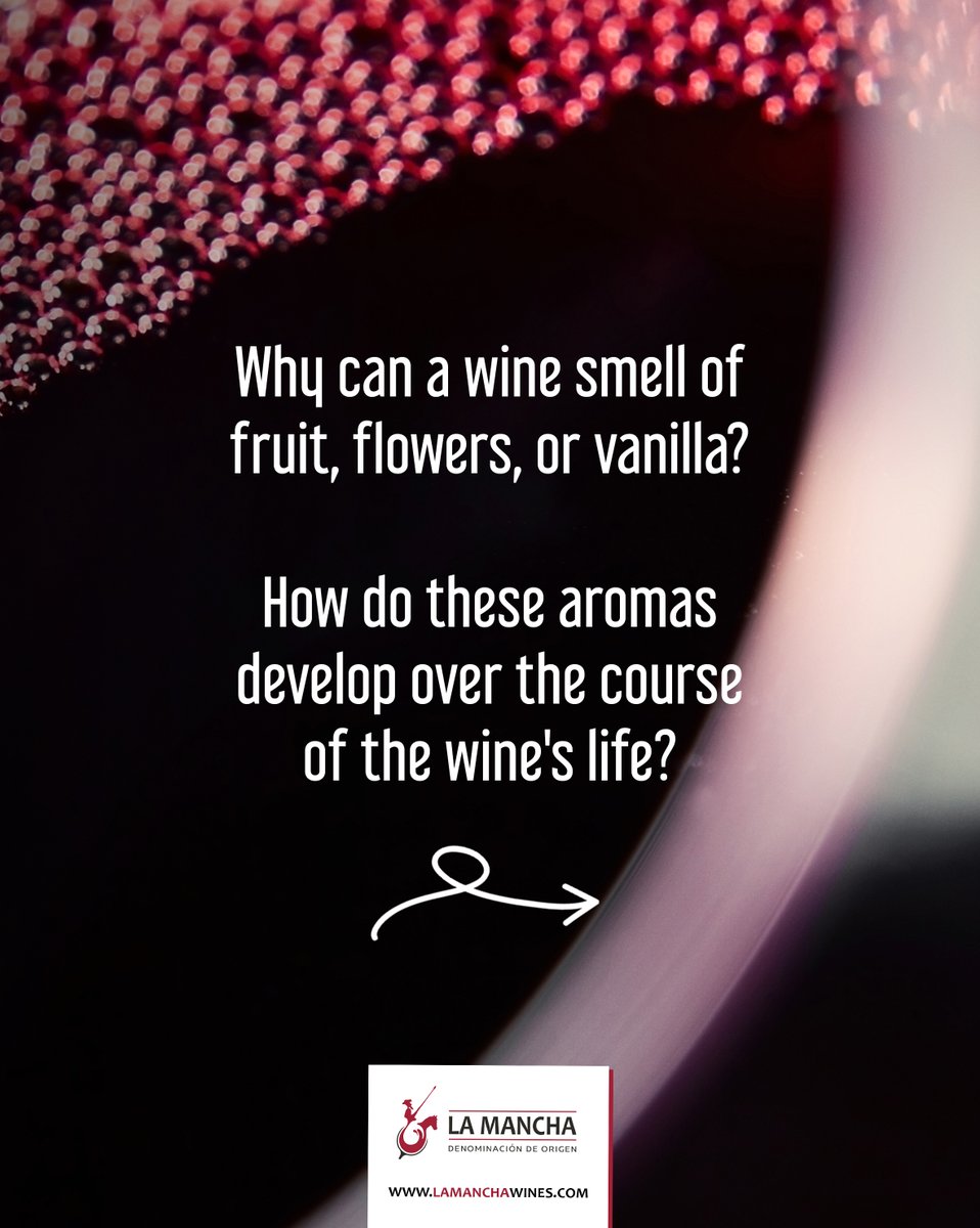 LaMancha_Wines's tweet photo. Why can a wine remind us of fruits, flowers, spices, or even vanilla?🍷
#DOLaMancha #Wine #LaMancha #Wines #Spain #WinesFromSpain
Drink responsibly. Alcohol abuse is dangerous to your health.
Content exclusively for people of legal age. Do not share with anyone under age. https://t.co/9m1psd09CF