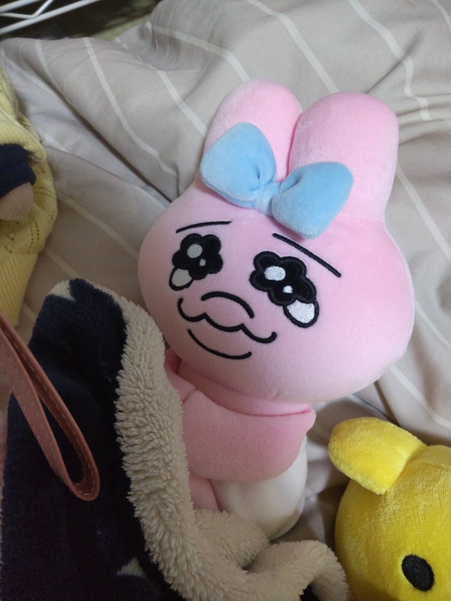 saya_diva8's tweet photo. 新しい家族のるいちゃん。 https://t.co/Bhn0jRGqGh