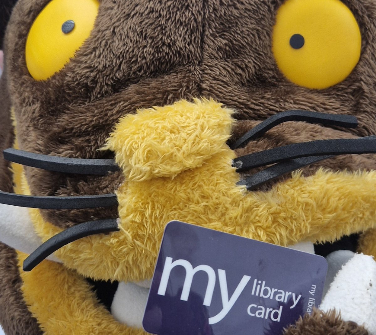 WolvesLibraries tweet picture