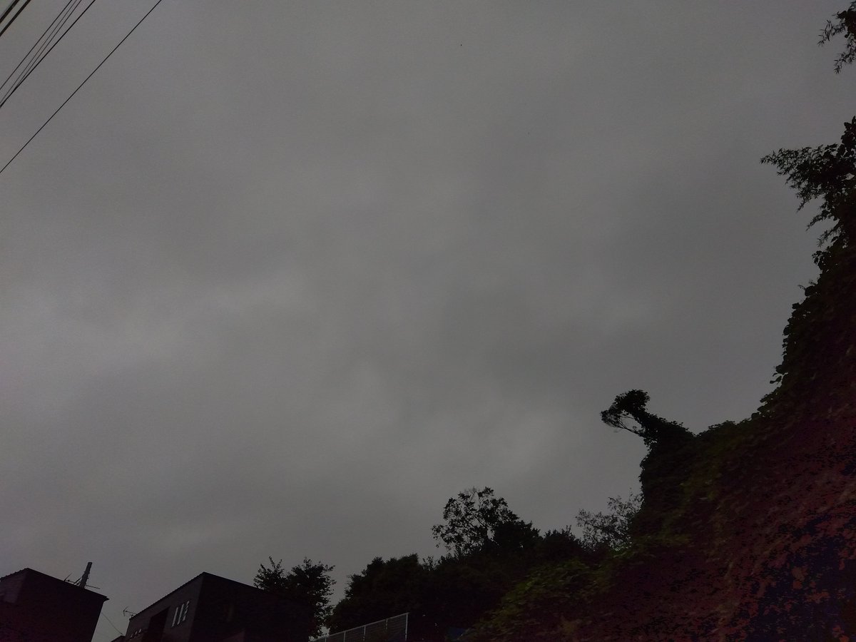 MakoVw3's tweet photo. 今日の花と空🌺🌧️
#花　#空　#千葉県千葉市 https://t.co/ciKWWRP6fW