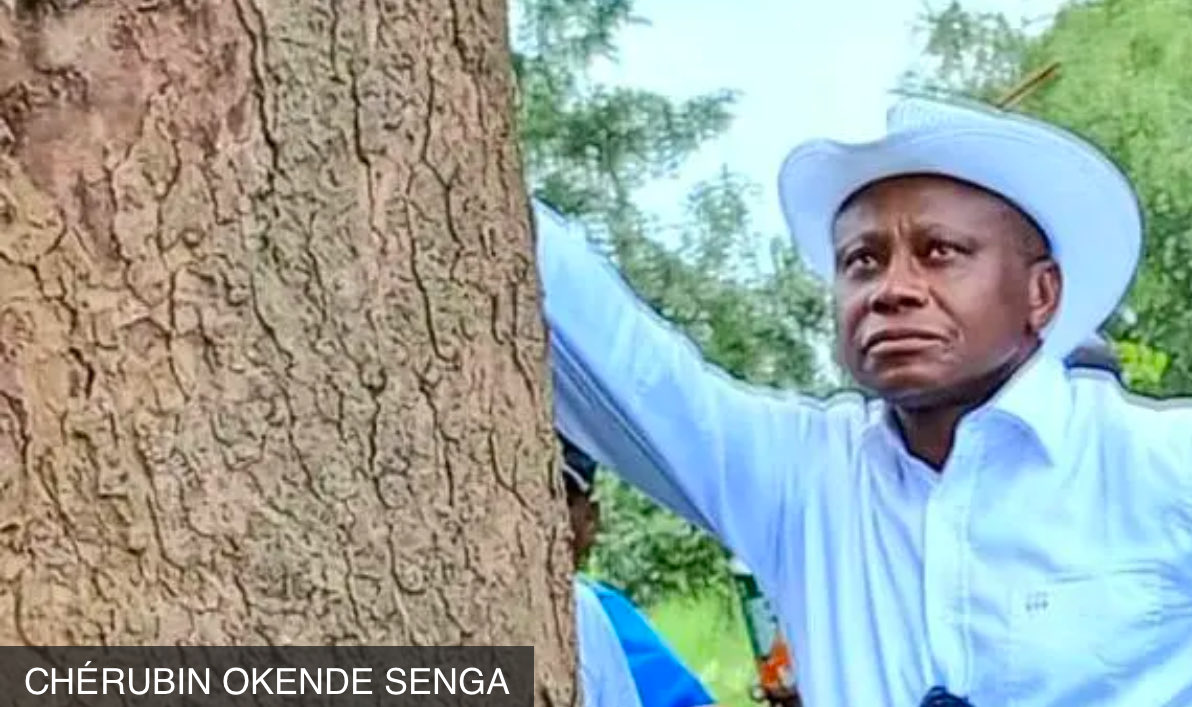 tokwauluaena2's tweet photo. @Bulukutu #RDC IMPUNITÉ.Que ça ne se reproduise plus.Assassinat #CherubinOkende les procès arbitraires officiers @FARDC_Info  condamnation à mort de #Kabila 
Les meurtres de #RossyMukendi #ThereseKapangala #ManasséLomboto
#LucNkulula etc
Les coupables en justice 
Les victimes à indemniser https://t.co/660gPcadD2