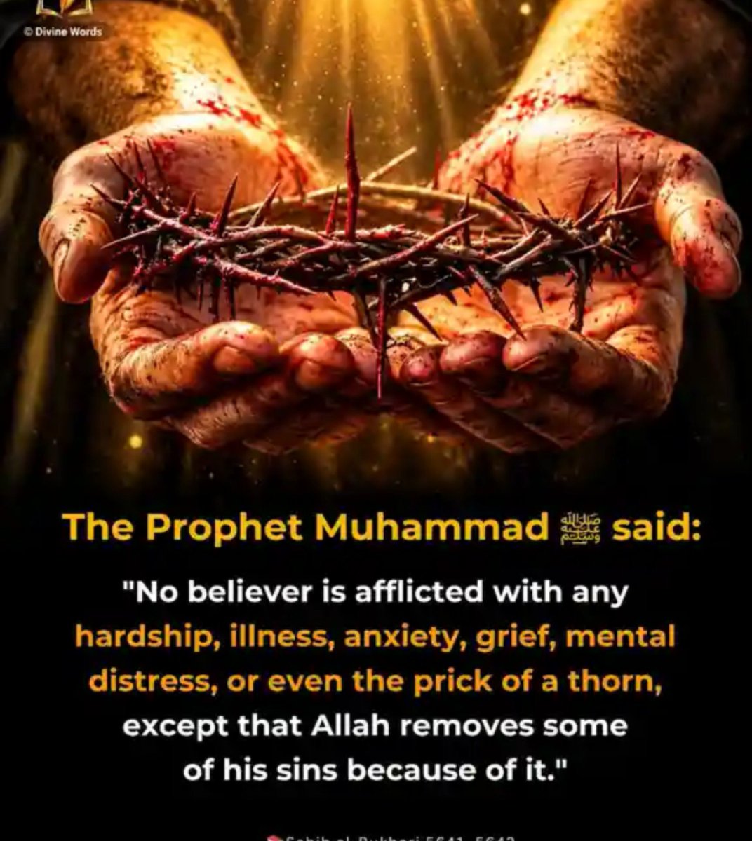 DailyHadith_2's tweet photo. https://t.co/03eDCeD5i1