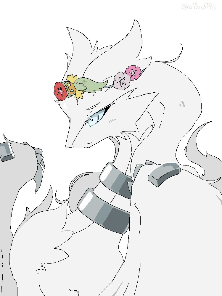 kalibachi95's tweet photo. レシキュワ https://t.co/kn2gBYqyGa