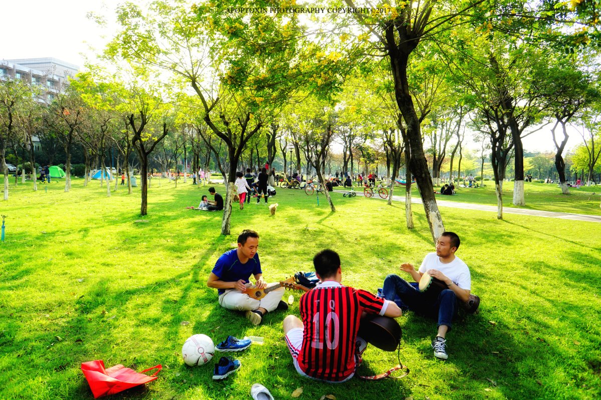 Grinsekiste's tweet photo. [Come join our photography club’s weekend outdoor shoot at Century Park this Saturday (10AM-4PM)! Beginners u0026 pros all welcome—bring your camera (or phone!) to capture spring vibes, enjoy snacks, and swap tips. Sign up via link in bio!]， https://t.co/mf8dE7Taxt