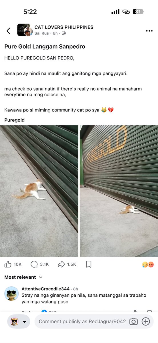 NadiaDiane2's tweet photo. Ninang @Puregold_PH can you please check on this? Sobrang heartbreaking nito. 😭 #Puregold https://t.co/AS5m1fdlOf
