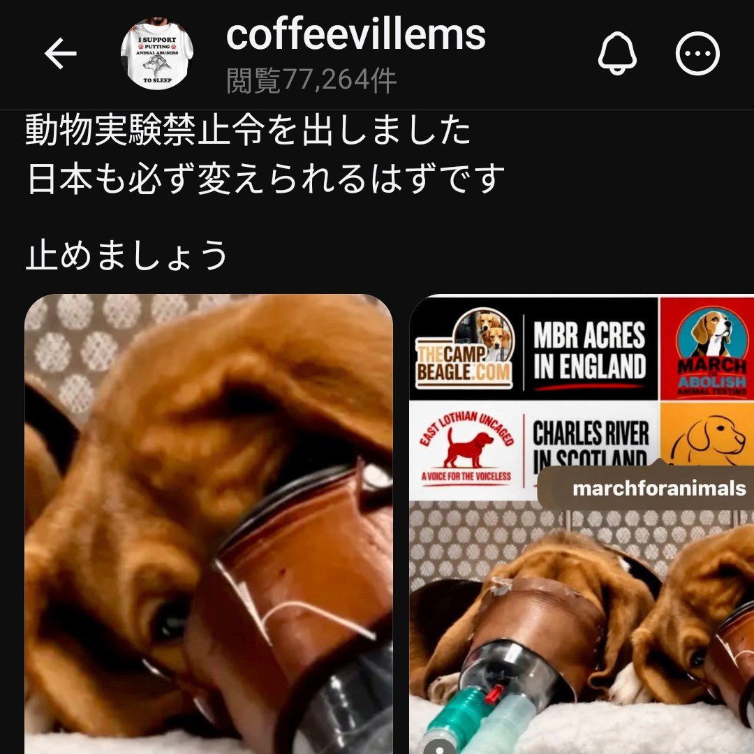 MamoruTakazawa's tweet photo. タバコのビーグル犬を使った残酷な動物実験。これは今でも続いています。

日本のたばこ産業は犬舎も数年前に新しくしました。

動物好きな方、動物愛護活動されている方でも喫煙者はいる。

これ見てタバコを止めないならその人達った何なんだろう。#動物実験 #喫煙 https://t.co/ShIoiLMjrc