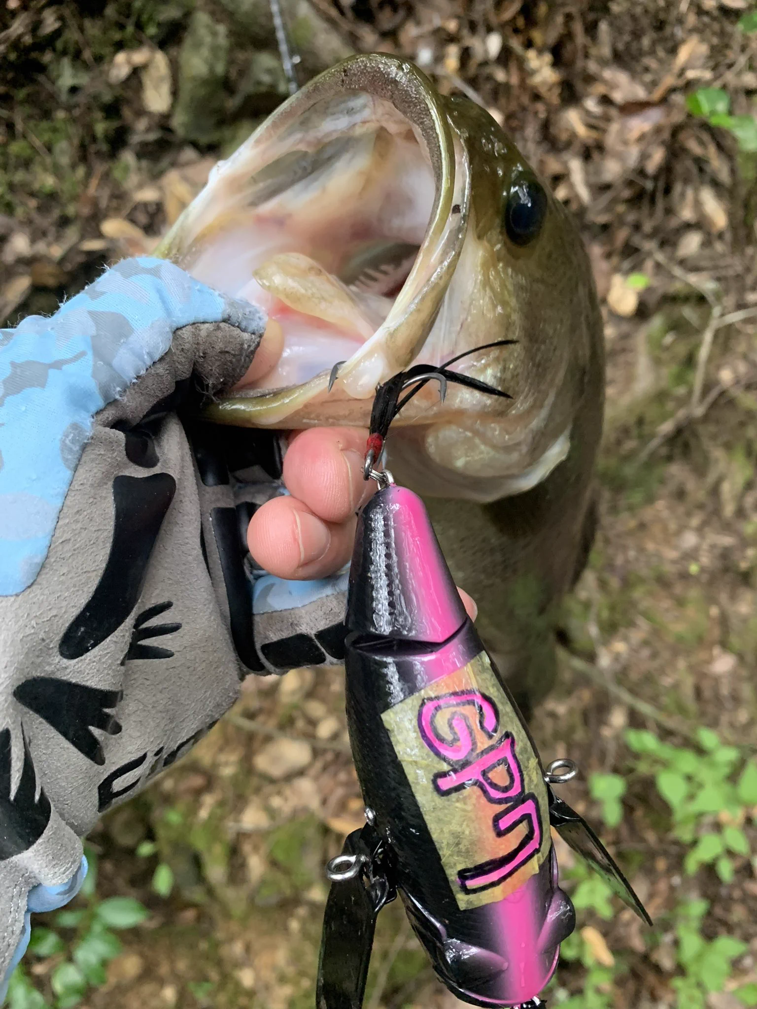 BUTZ (@BUTZbassfishing) / X
