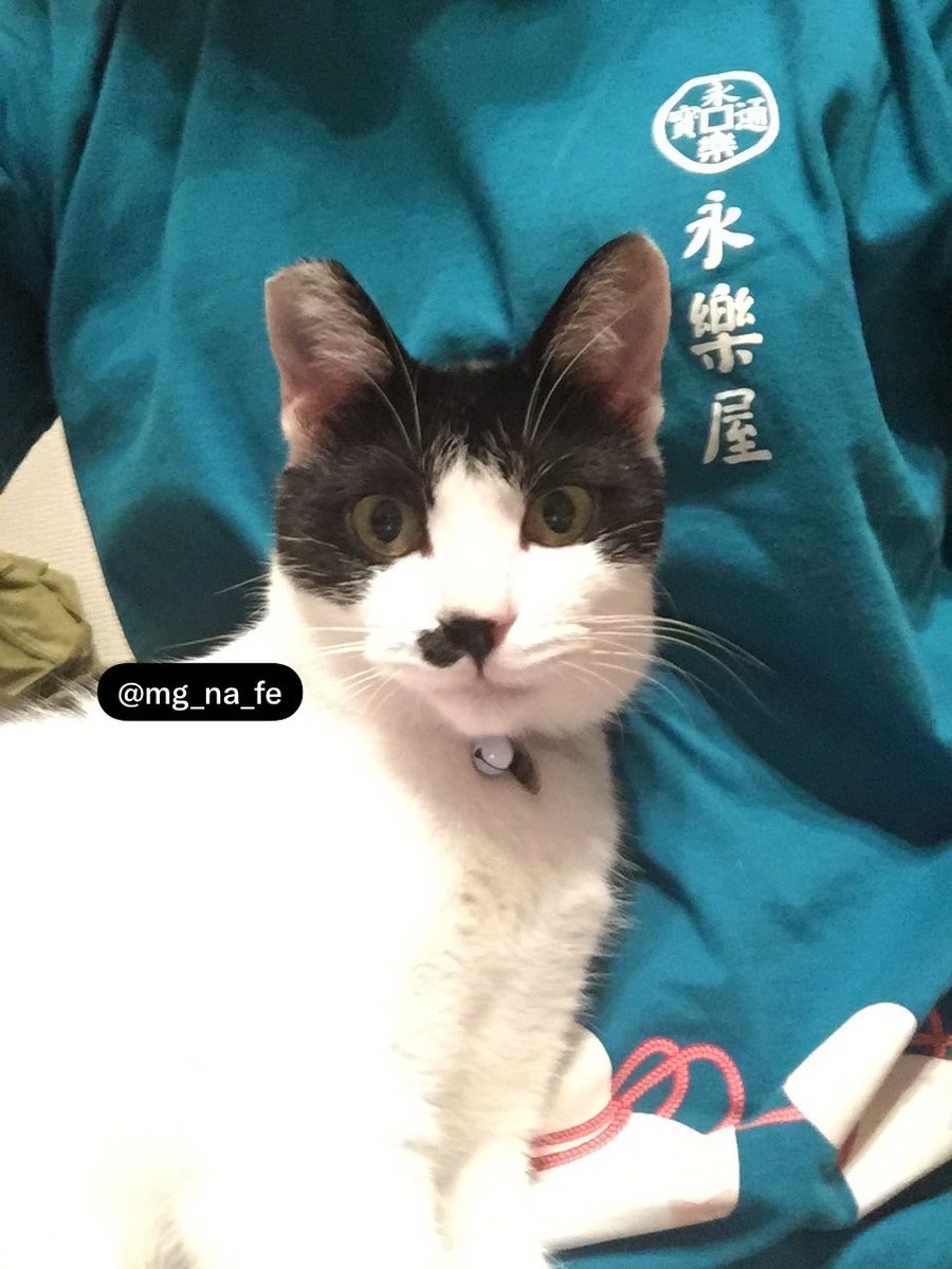 mg_na_fe's tweet photo. タヴァちん命日。
もう5年も経つのかぁ〜思い出すと寂しくなっちゃうこともあるけど、今は「一緒にいてくれてありがとね」の気持ちのほうが強くなりつつある今日この頃。
ずっと一緒だよ。 https://t.co/TZh1I3gq3x