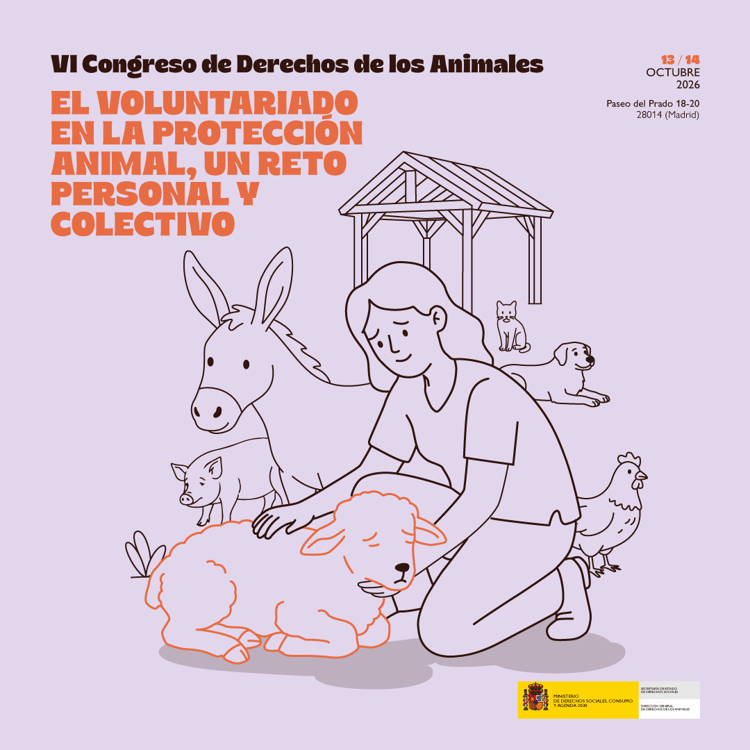 JoserraBecerra's tweet photo. ⏰¡¡Llega el VI Congreso de Derechos de los Animales!!

El trabajo voluntario en protectoras y refugios 🐶🐱🐷🐴🐵🐔 conlleva dificultades y retos para personas y asociaciones.

Si quieres escuchar las voces de las personas más implicadas 🐾, apúntate:
https://t.co/DplwlZr7Z8 https://t.co/V3Uv709o71
