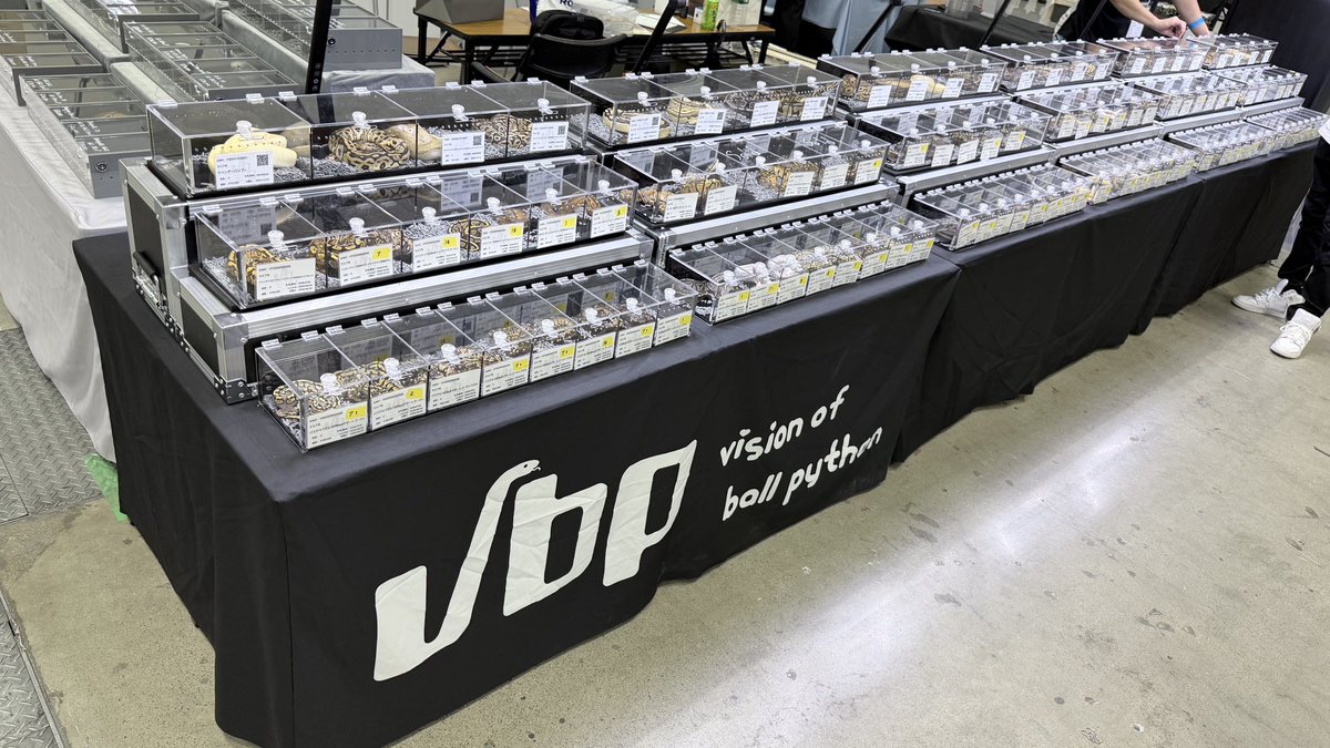 vbp_ballpython tweet picture
