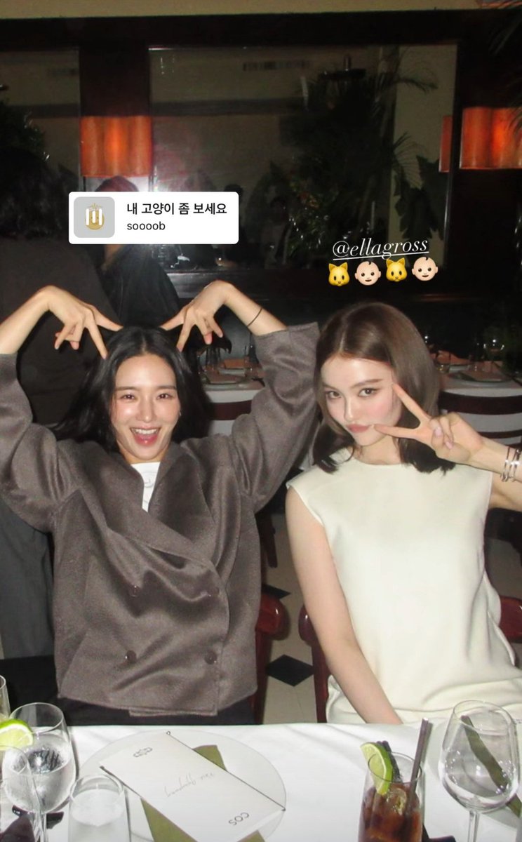 gyuyounp's tweet photo. ⠀
An afterparty with this little one is not something anyone could say no to. We talked through a great deal over dinner, including a few glittering corners of the world I had not known before. She is an aegi cat who makes it impossible not to feel thoroughly endeared.
⠀ https://t.co/biDujtfiKO