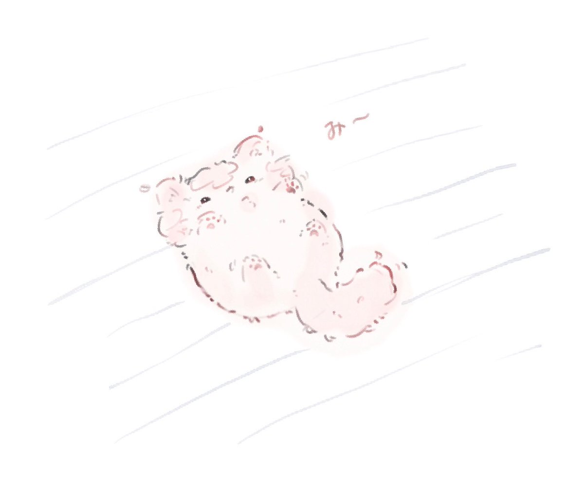 ochisia_ame's tweet photo. ちっちゃいねこちゃん💕 https://t.co/11uxdIf8VL